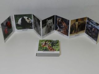 Obrázek z Leporelo ZOO 8x9cm 